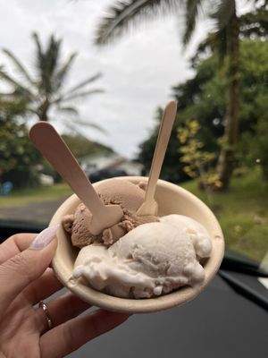 Coconut Glen's by null