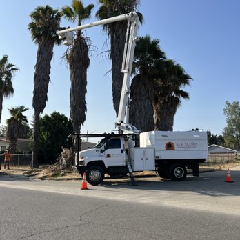 New Season Tree Services - Tree Services Near Me - Riverside, California New Season Tree Services - Tree Services Near Me - Riverside, California