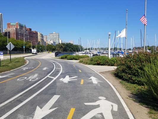 Belmont Harbor by null