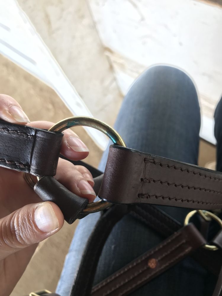 CHICK’S DISCOUNT SADDLERY & WESTERN WEAR Updated August 2024 20 Reviews 18011 S Dupont Hwy