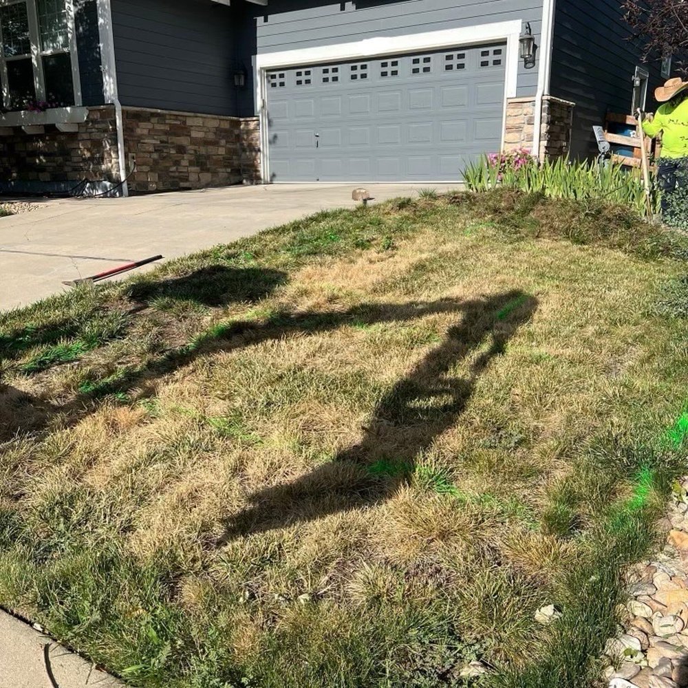E•E Construction - Before picture - Landscaping Near Me - Brighton, Colorado