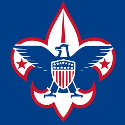 JDog Junk Removal & Hauling- Williamson County