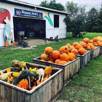 Happy Jack's Farm - Happy Jack's store - Farmers Market Near Me - Frankfort, Kentucky Happy Jack's Farm - Happy Jack's store - Farmers Market Near Me - Frankfort, Kentucky