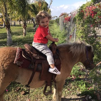 By Brothers - Having a blast - Fruits & Veggies Near Me - Miami, Florida By Brothers - Having a blast - Fruits & Veggies Near Me - Miami, Florida