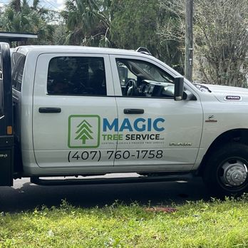 Magic Tree Service - Tree Services Near Me Magic Tree Service - Tree Services Near Me