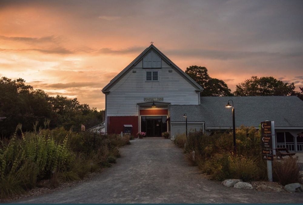Food from Powisset Farm