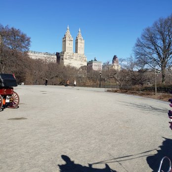 Central Park Horses - Horseback Riding Near Me - New York, New York Central Park Horses - Horseback Riding Near Me - New York, New York