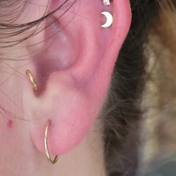 The Piercing Parlor SC - Double helix