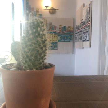 El Vado Taproom - Succulents on every table. - Beer Bar Near Me - Albuquerque, New Mexico