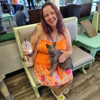 Mochas And Meows - Glenda smiled for the camera she was our favorite kitty. - Pet Adoption Near Me - Branson, Missouri