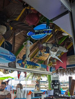 TIPSY SEAGULL - Updated February 2025 - 92 Photos & 139 Reviews - 1 ...