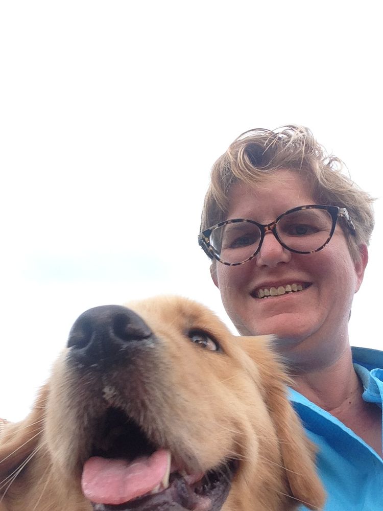 Pet Sitter Plus Image
