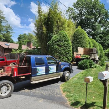 Bevans Tree Service - Tree removal. - Tree Services Near Me - Asheville, North Carolina Bevans Tree Service - Tree removal. - Tree Services Near Me - Asheville, North Carolina