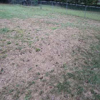 Magnolia Lawn - another view of the damage to my lawn that Magnolia did - Lawn Services Near Me - Suwanee, Georgia Magnolia Lawn - another view of the damage to my lawn that Magnolia did - Lawn Services Near Me - Suwanee, Georgia