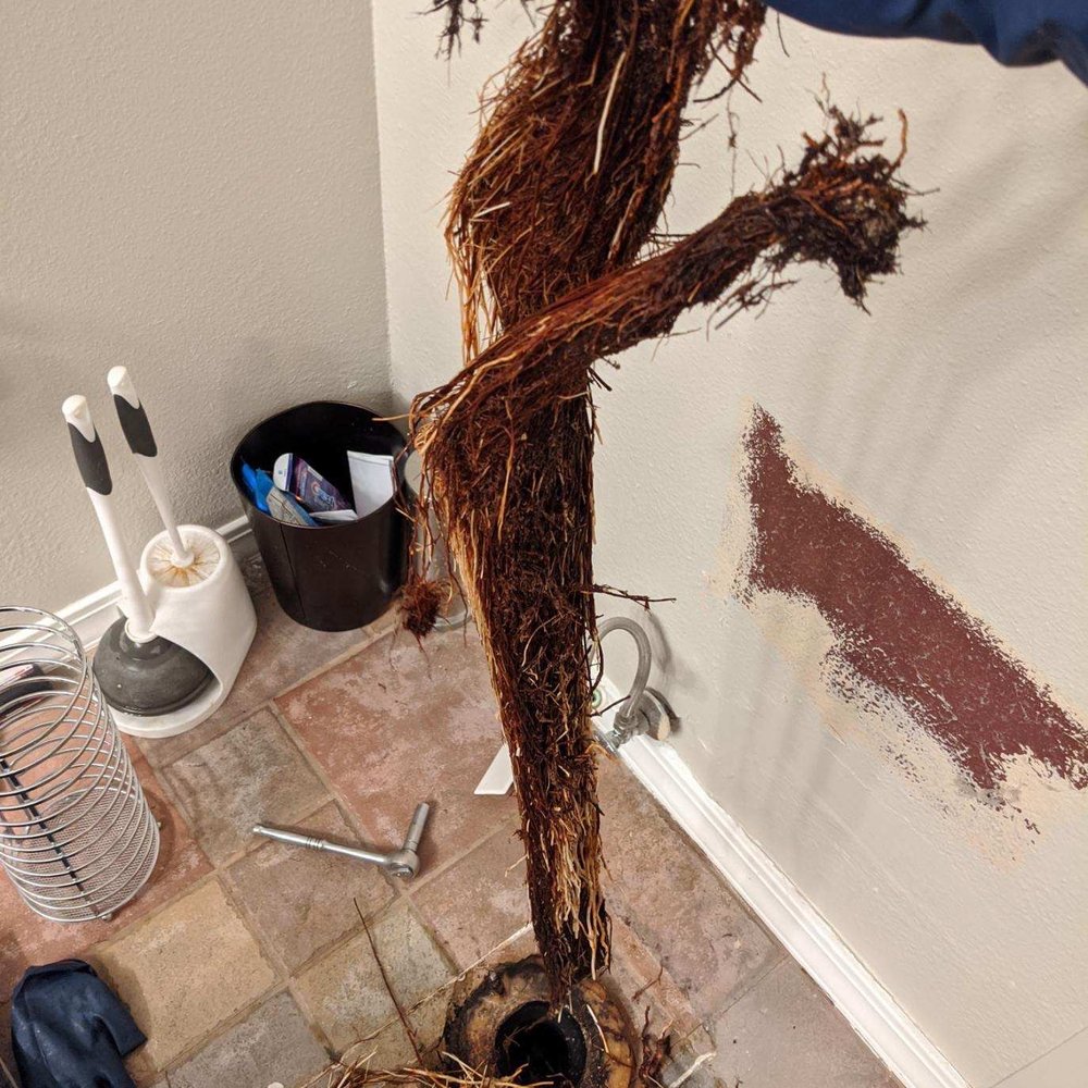 Kincheloe Plumbing - There were roots growing in my pipes - Plumbing Near Me Kincheloe Plumbing - There were roots growing in my pipes - Plumbing Near Me