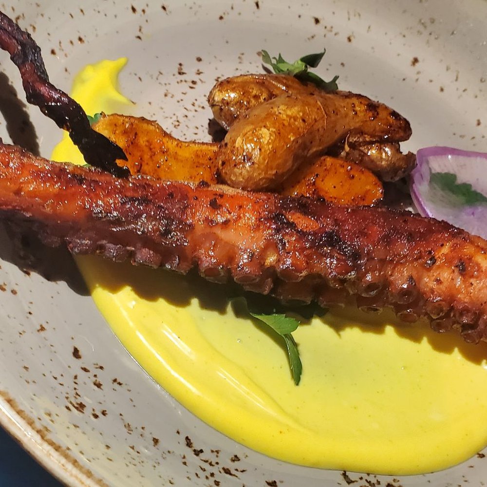 Gunther & Co - Octopus - Seafood Near Me - Baltimore, Maryland Gunther & Co - Octopus - Seafood Near Me - Baltimore, Maryland