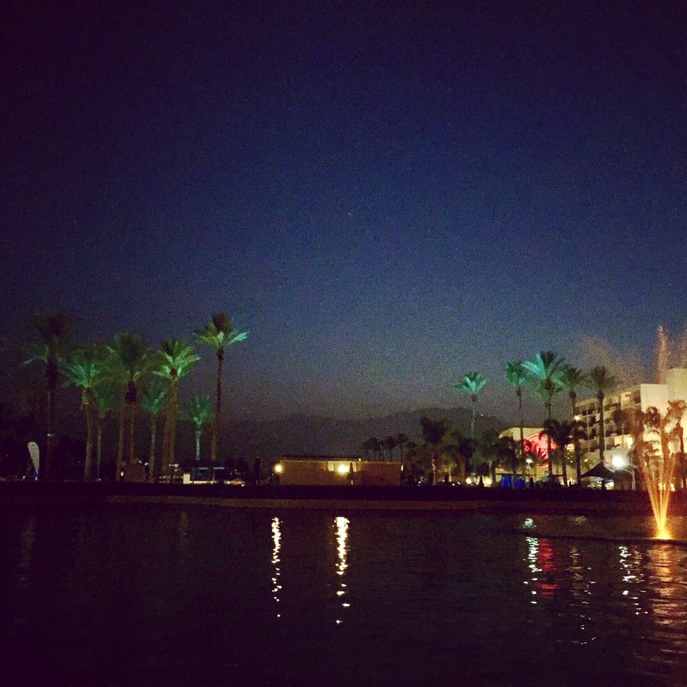 Our beautiful view from the patio.