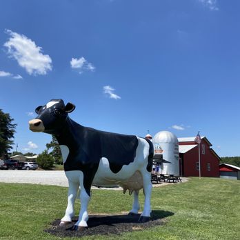 Mountain Fresh Creamery - Specialty Food Near Me - Clermont, Georgia