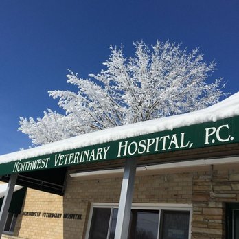 Northwest Veterinary Hospital - Veterinarians Near Me - Urbandale, Iowa Northwest Veterinary Hospital - Veterinarians Near Me - Urbandale, Iowa
