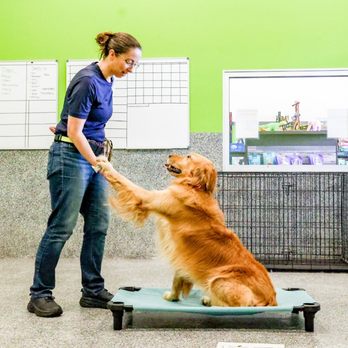 Paw Commons Pet Resort - Encinitas - Pet Sitting Near Me - Encinitas, California Paw Commons Pet Resort - Encinitas - Pet Sitting Near Me - Encinitas, California