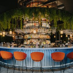 Dom Whisky Cocktail Bar