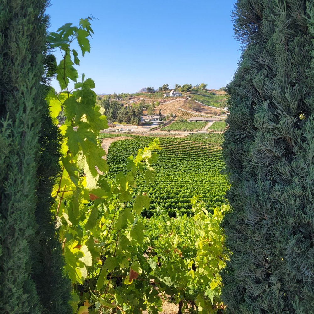 Oak Mountain Winery - Wineries Near Me - Temecula, California Oak Mountain Winery - Wineries Near Me - Temecula, California