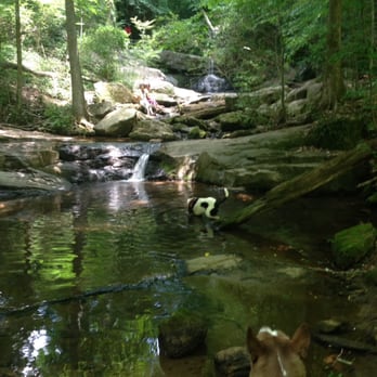 Cascade Springs Nature Preserve - Parks Near Me - Atlanta, Georgia Cascade Springs Nature Preserve - Parks Near Me - Atlanta, Georgia