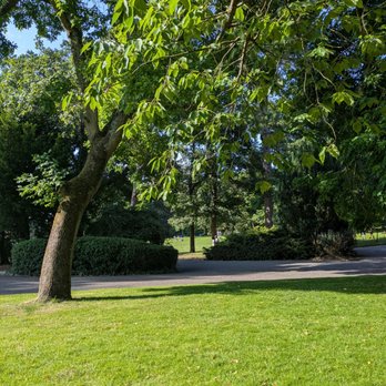 Botanic Gardens - Botanical Gardens Near Me - Belfast, BFS Botanic Gardens - Botanical Gardens Near Me - Belfast, BFS