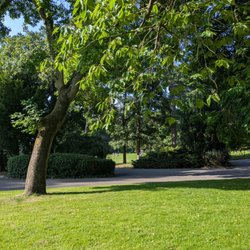 Botanic Gardens