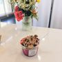 Arrow Smoothies & Cafe