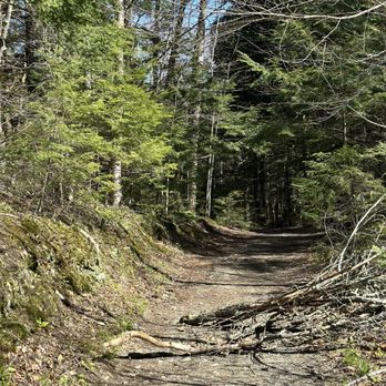Warren Falls - Hiking Near Me - Warren, Vermont