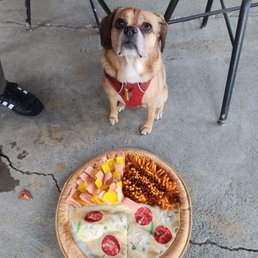 Pet friendly! Pet friendly!