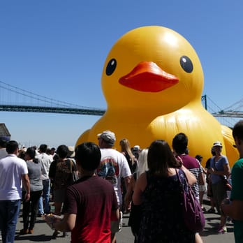 World's Largest Rubber Duck - Festivals Near Me - Los Angeles, California World's Largest Rubber Duck - Festivals Near Me - Los Angeles, California