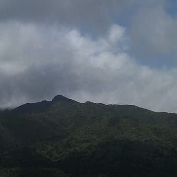 El Yunque Rainforest - Hiking Near Me - Luquillo, Puerto Rico