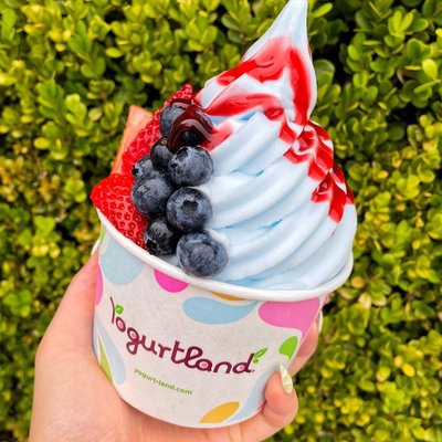 Yogurtland Dallas by null
