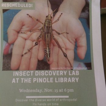 PINOLE LIBRARY - Updated February 2026 - 25 Reviews - 2935 Pinole ...