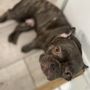 Photo of Biscuits and Baths SoFlo