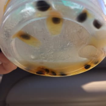 T4 - The seeds in my smoothie.. It was very had to eat the boba and not the seeds.. I will never return. - Tea Rooms Near Me - San Ramon, California T4 - The seeds in my smoothie.. It was very had to eat the boba and not the seeds.. I will never return. - Tea Rooms Near Me - San Ramon, California