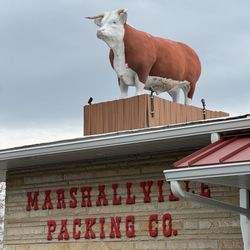 Marshallville Packing