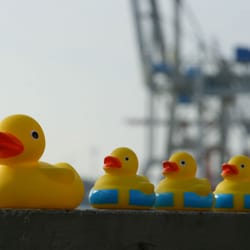 Stattreisen Hamburg - Stadtrundgänge für Kinder