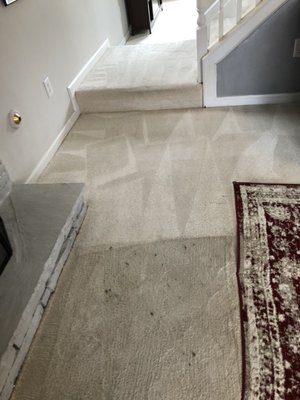 before and after carpet cleaning - Typical results from our restorative cleaning process
