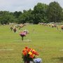 Photo of Bulloch Memorial Gardens