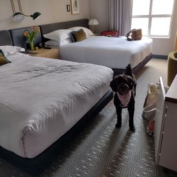 Kimpton Saint George Hotel - Hotels Near Me - Toronto, Ontario Kimpton Saint George Hotel - Hotels Near Me - Toronto, Ontario