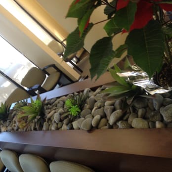Katy Modern Dentistry and Orthodontics - General Dentistry Near Me - Katy, Texas Katy Modern Dentistry and Orthodontics - General Dentistry Near Me - Katy, Texas