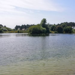 Boswachterij Westerschouwen - Stiller See hinter den Dünen