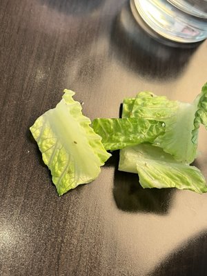 The Berkeley Boathouse by null