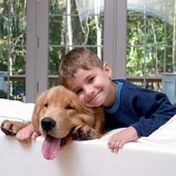 New Process Carpet Cleaning - Aquidneck Island Professional Upholstery Cleaning Service