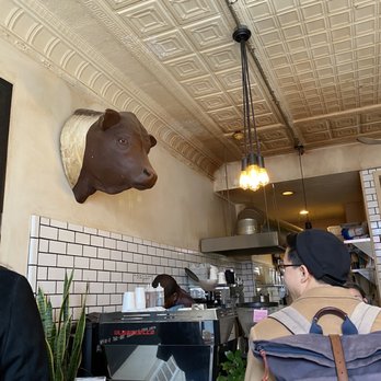 Curio Coffee - Interior - Coffee & Tea Near Me - Cambridge, Massachusetts