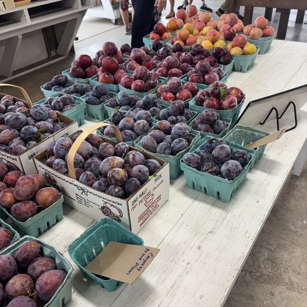 Peters Orchards - Fruits & Veggies Near Me - Gardners, Pennsylvania