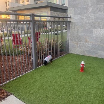 Hampton Inn Long Beach Airport - Doggie station 1 of 2 very clean and convenient - Hotels Near Me - Long Beach, California Hampton Inn Long Beach Airport - Doggie station 1 of 2 very clean and convenient - Hotels Near Me - Long Beach, California